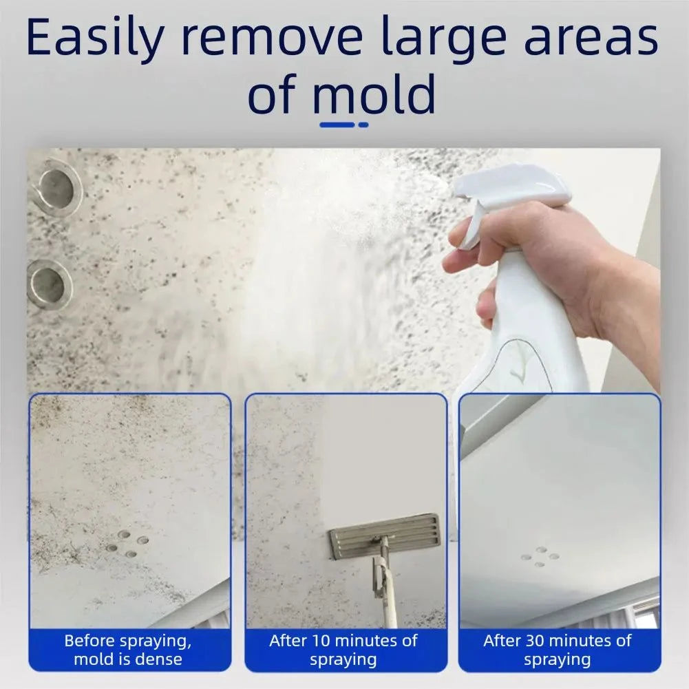 240ML Wall Mold Remover Spray โ Powerful Mildew & Anti-Mold Cleaner