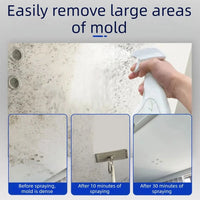 240ML Wall Mold Remover Spray – Powerful Mildew & Anti-Mold Cleaner