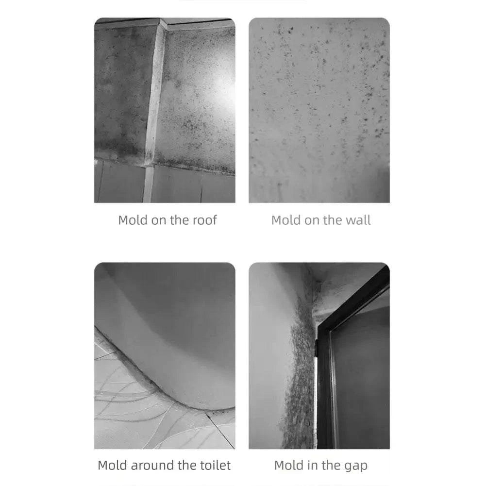 240ML Wall Mold Remover Spray – Powerful Mildew & Anti-Mold Cleaner
